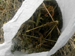 Мешок с коноплей и шприц с опием: полицейские Покровска обнаружили нескольких любителей наркотиков с "товаром"