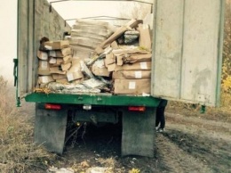 На Харьковщине на границе с РФ задержали 14 тонн непригодной к употреблению рыбы (видео)