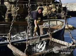 Севастополь будет продавать морепродукты в Турцию, Белоруссию и Казахстан