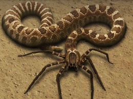 Ученые провели опыты на младенцах и определили природу страха перед змеями и пауками
