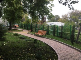Возле Стамбульского парка открыта самая большая площадка для выгула собак
