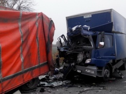 ДТП на Днепропетровщине: пострадавшего пассажира и тело водителя вырезали из кабины фуры