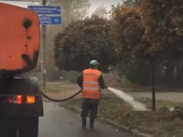 Запорожцы в дождь поливают деревья (Видео)