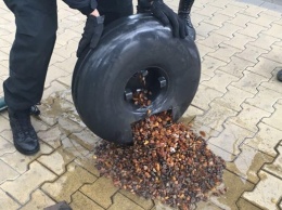 Украинец спрятал почти 22 кг янтаря в газовом баллоне