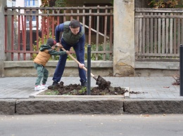 В центре города одесситы высадили парковые породы деревьев (общество)