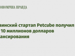 Украинский стартап Petcube получил еще 10 миллионов долларов финансирования