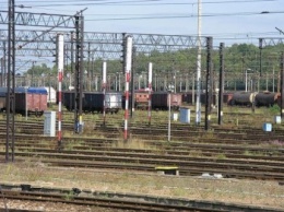 В Польше 30 тысяч вагонов стоит в кустах