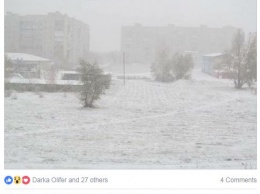 От Полтавы до Харькова. В соцсетях публикуют фото и видео первого снега
