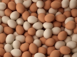 Киевлянин украл с птицефермы яиц почти на миллион гривен