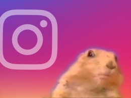 Instagram анонсировал новую функцию Superzoom