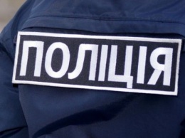 В Запорожской области "грозный" полицейский скандалил с киевлянами