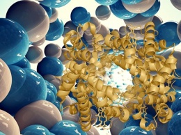 Ученые открыли белок, который проводит ток подобно металлу