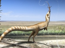 Ученые определили расцветку похожего на енота пернатого динозавра