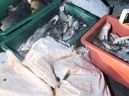 На Сумщине разбойники пошли на преступление, чтобы украсть 160 кг рыбы