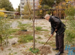 «Я спасал людей, а теперь спасаю деревья»: житель Днепра вырастил кленовую аллею