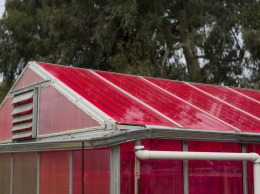 В Калифорнии создали теплицы с солнечными батареями