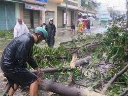 Жертвами тайфуна Дэмри во Вьетнаме стали более 40 человек