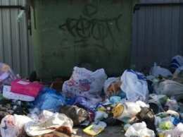 Херсонцев возмущают вечные кучи мусора в городе