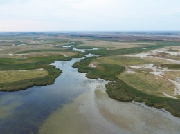 Часть Дунайского биосферного заповедника включат в состав нацпарка «Тузловские лиманы»