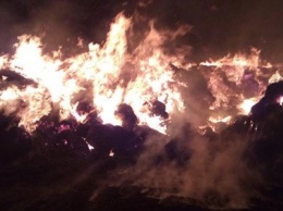 В Бердянском районе на территории частного двора произошел пожар