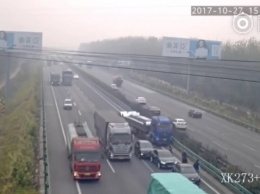 ВИДЕО жесткого ДТП в Китае: из-за овец грузовик снес пешеходов на магистрали