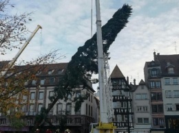 В Страсбурге треснула вторая рождественская елка