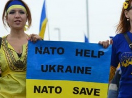Украине пора закрыть рот и не вспоминать о НАТО - Литвин