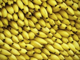 На запорожской трассе задержали фуру с бананами