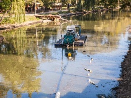 Из большого озера в "Дубовой рощи" достали несколько десятков тонн мусора