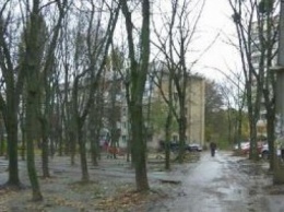 В Киеве снова убирают листья: горожане возмущаются