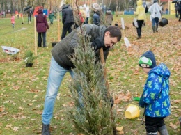 На выходных волонтеры засадили Березовую рощу деревьями и декоративными кустарниками