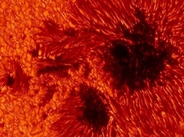 Ученые заявили об исчезновении пятен на обращенной к Земле стороне Солнца
