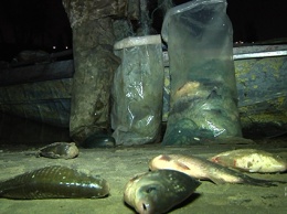 На Днепропетровщине водная полиция задержала браконьера
