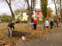 Жители Ближних Мельниц провели субботник и высадили аллею платанов