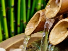 Китаец заработал $300 тыс., заливая водку в бамбуковые стебли (видео)
