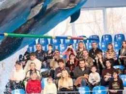 Киевский дельфинарий: трагедия в пяти действиях
