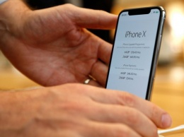 К нам едет ревизор: ФАС проведет "тихую" проверку цен на iPhone X