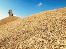 "Аграрный фонд" законтрактовал 666 тыс. тонн зерновых на 2,9 млрд грн