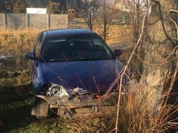 На Бердянской косе автомобиль врезался в дерево. Есть пострадавшие