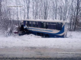 ДТП на Львовщине: в столкновении ГАЗели и автобуса Эталон травмировано восемь человек. ФОТО