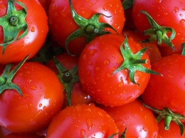 Ученые выяснили, что томаты и фрукты хорошо влияю на легкие