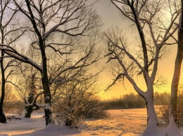 Прогноз погоды на 24 декабря: в Украине существенно потеплеет