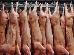 Почему ЕС выставит России счет за свинину на 1,4 млрд евро