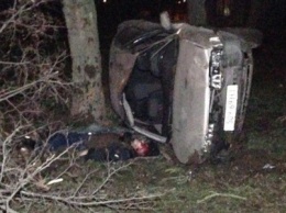 Страшное ДТП в Николаеве: 2 парня и 2 девушки на Мазде влетели в дерево - водитель умер на месте аварии, - ФОТО