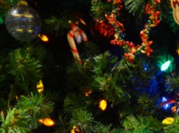 Новогодняя елка в Краматорске: что по чем и во сколько выльется наряд лесной красавицы?