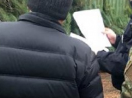 В Новый год без нарушений: патрульные Краматорска и Славянска проверяют законность продажи елок