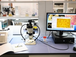 Ученые из России создали микроскоп, способный заглянуть в нанотрубки