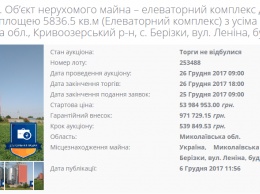 На Николаевщине на продажу выставили элеватор со стартовой ценой 54 миллиона гривен