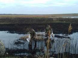 Глава Днепропетровского облсовета Глеб Прыгунов: «Виновники в расстреле белых лебедей должны быть наказаны»