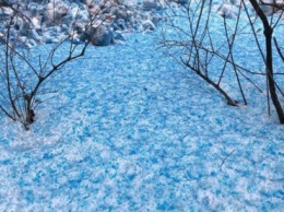 Санкт-Петербург завалило синим снегом